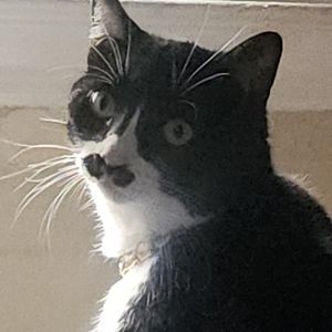 Meet your Posher, Delilah